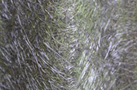 Peterculter fibreglass roof work